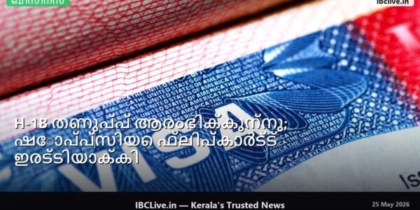H-1B വിസകളുടെ കുറവും ഫ്ലിപ്പ്കാർട്ട് ലോഗോയും കാണിക്കുന്ന ഒരു ഗ്രാഫ്