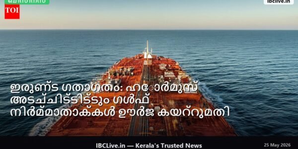 ഹോർമുസ് കടലിടുക്കിലൂടെ സഞ്ചരിക്കുന്ന ഒരു ചരക്കുകപ്പൽ