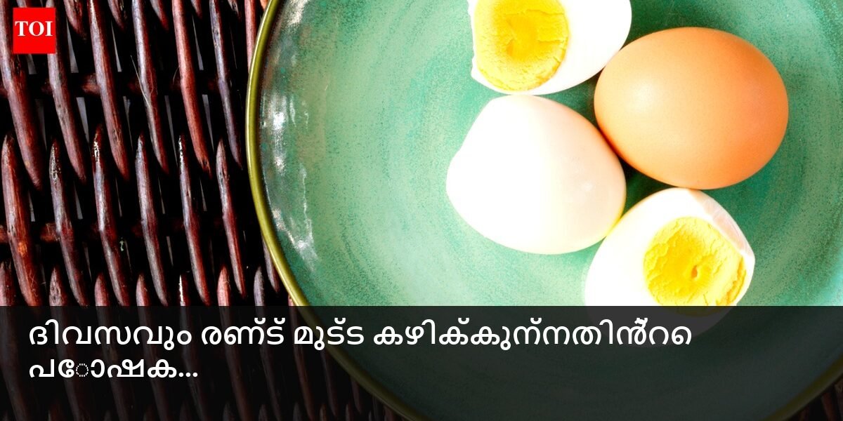 രണ്ട് മുട്ടകൾ, മുഴുവൻ ധാന്യം ടോസ്റ്റ്, പുതിയ പച്ചക്കറികൾ എന്നിവയുള്ള ഒരു ബ്രേക്ക്ഫാസ്റ്റ് പ്ലേറ്റ്
