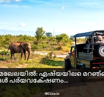 പുള്ളിപ്പുലിയുടെയോ ഒറാങ്ങുട്ടാൻ്റെയോ ചിത്രം അവയുടെ സ്വാഭാവിക ആവാസവ്യവസ്ഥയിൽ, പച്ചപ്പ് നിറഞ്ഞ വനങ്ങളും പശ്ചാത്തലത്തിൽ മൂടൽമഞ്ഞ് നിറഞ്ഞ മലകളും.