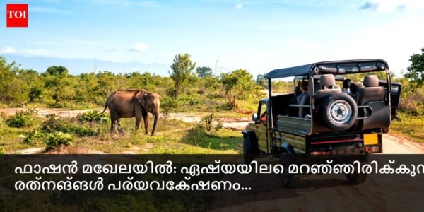 പുള്ളിപ്പുലിയുടെയോ ഒറാങ്ങുട്ടാൻ്റെയോ ചിത്രം അവയുടെ സ്വാഭാവിക ആവാസവ്യവസ്ഥയിൽ, പച്ചപ്പ് നിറഞ്ഞ വനങ്ങളും പശ്ചാത്തലത്തിൽ മൂടൽമഞ്ഞ് നിറഞ്ഞ മലകളും.