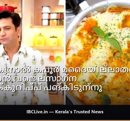 പശ്ചാത്തലത്തിൽ ഒറ്റ പാൻ ഉള്ള വെജ് ലസാഗ്നയുടെ രുചികരമായ പ്ലേറ്റ്