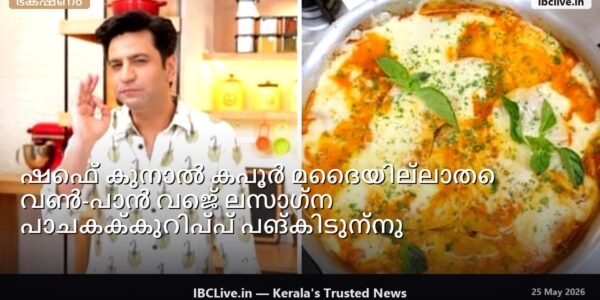 പശ്ചാത്തലത്തിൽ ഒറ്റ പാൻ ഉള്ള വെജ് ലസാഗ്നയുടെ രുചികരമായ പ്ലേറ്റ്