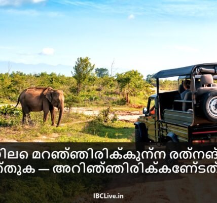 സമൃദ്ധമായ പച്ചപ്പുകളാലും വിദേശ മൃഗങ്ങളാലും ചുറ്റപ്പെട്ട മഴക്കാടുകളിൽ സഫാരി സാഹസികതയിൽ ഒരു കൂട്ടം വിനോദസഞ്ചാരികൾ.
