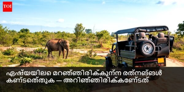 സമൃദ്ധമായ പച്ചപ്പുകളാലും വിദേശ മൃഗങ്ങളാലും ചുറ്റപ്പെട്ട മഴക്കാടുകളിൽ സഫാരി സാഹസികതയിൽ ഒരു കൂട്ടം വിനോദസഞ്ചാരികൾ.