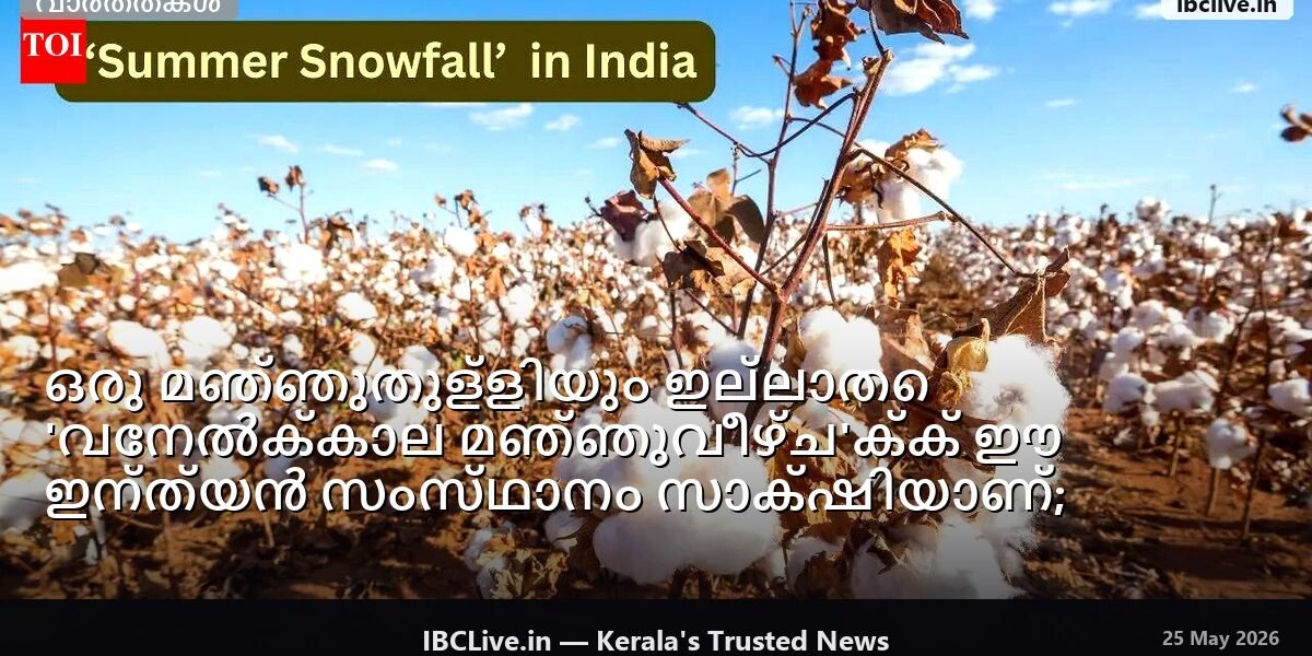 ഒരു ഇന്ത്യൻ സംസ്ഥാനത്ത് അപൂർവമായ 'വേനൽക്കാല മഞ്ഞുവീഴ്ച' ദൃശ്യങ്ങൾക്കിടയിൽ ഒരു യാത്രക്കാരൻ സെൽഫി എടുക്കുന്നു.