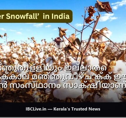 ഒരു ഇന്ത്യൻ സംസ്ഥാനത്ത് അപൂർവമായ 'വേനൽക്കാല മഞ്ഞുവീഴ്ച' ദൃശ്യങ്ങൾക്കിടയിൽ ഒരു യാത്രക്കാരൻ സെൽഫി എടുക്കുന്നു.