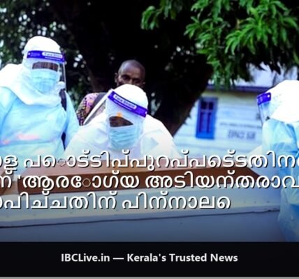 യാത്രക്കാരുടെ ആരോഗ്യ പ്രഖ്യാപന ഫോമുകൾ എയർലൈൻസ് ക്രൂ പരിശോധിക്കുന്നു