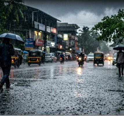 കേരളത്തിലെ വരണ്ട നെൽവയലുകൾ കാണിക്കുന്ന ചിത്രം