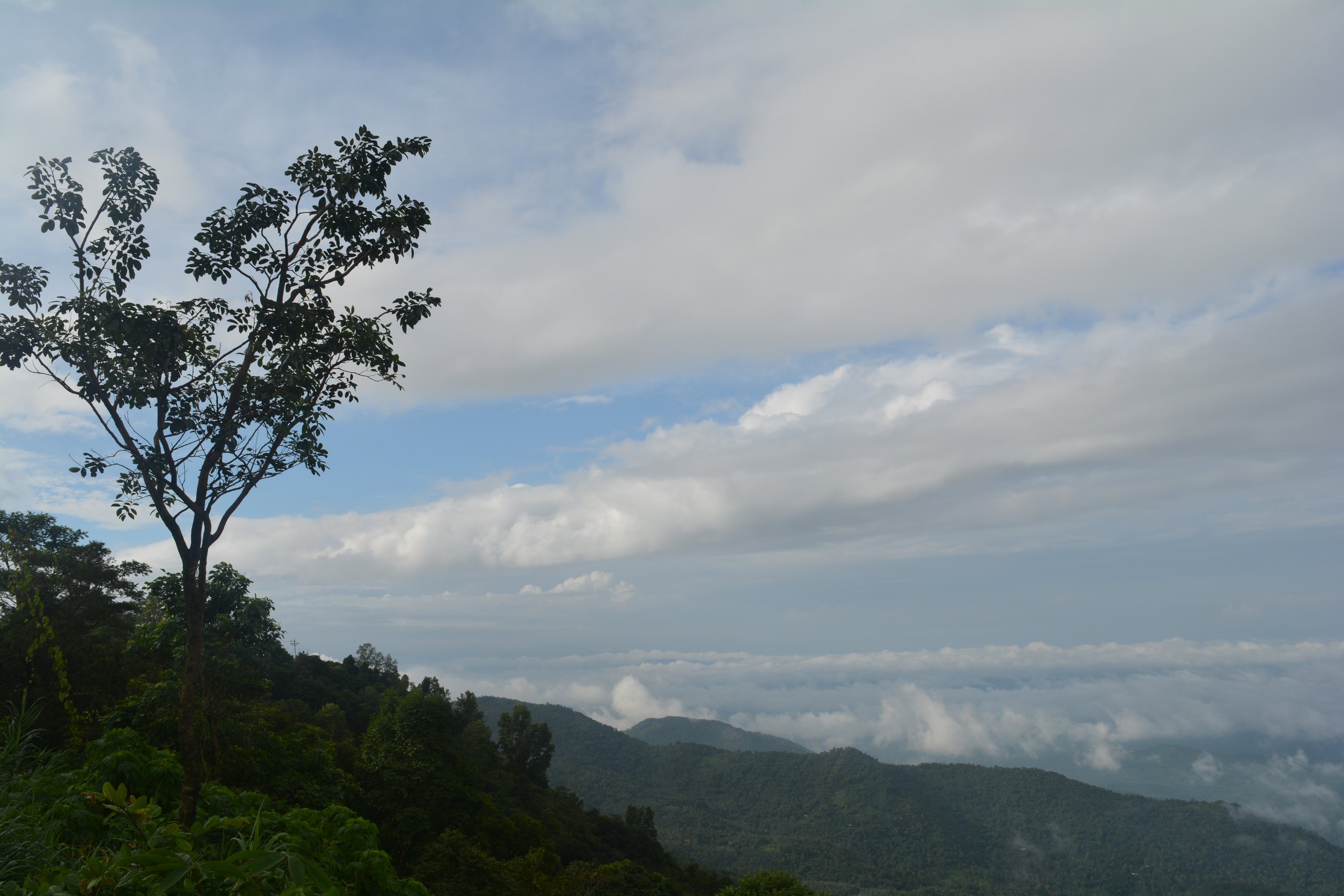 കർക്കടക മഴക്കാലത്ത് കണ്ണൂർ പൈതൽമലയ്ക്ക് മുകളിൽ കാർമേഘങ്ങൾ