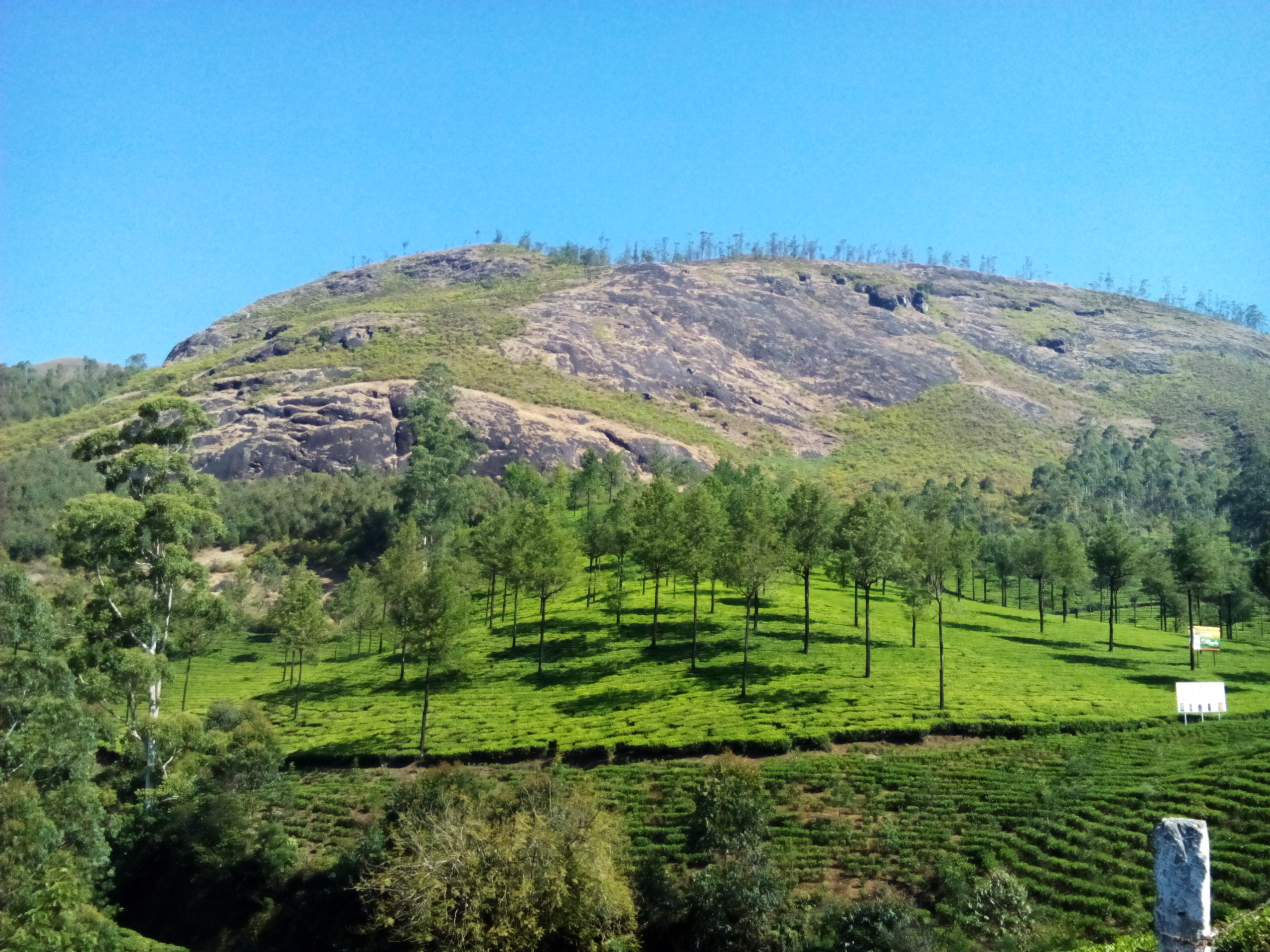 മൺസൂൺ കേരളം: വയനാടും മൂന്നാറും ഈ സീസണിൽ; യാത്രയ്ക്ക് അറിയേണ്ടതെല്ലാം