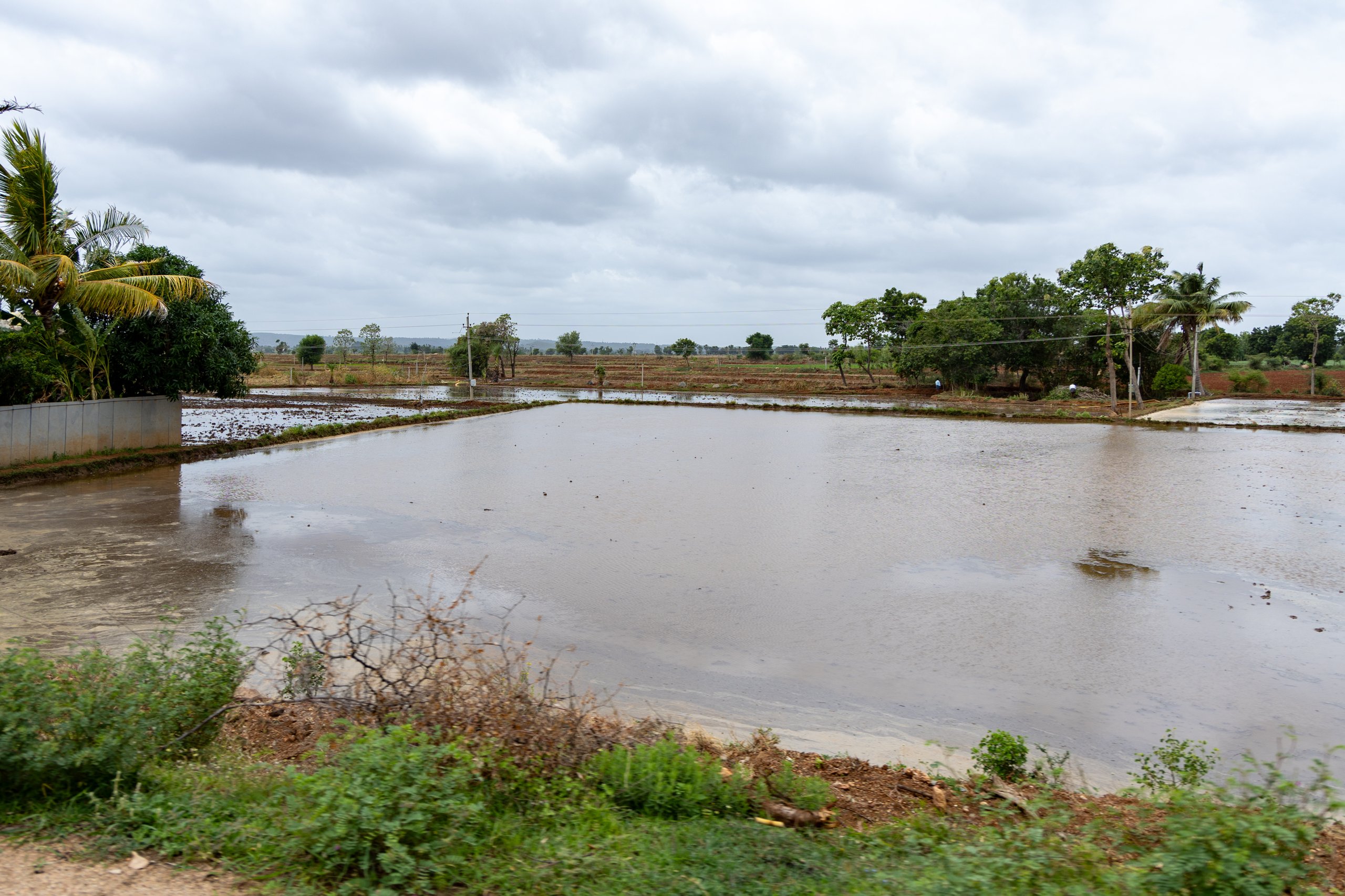 പിഎം-കിസാൻ 2030-31 വരെ നീട്ടി; ₹3.15 ലക്ഷം കോടി വിഹിതം, കർഷകർക്ക് ₹6,000